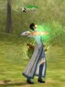 Mucchi