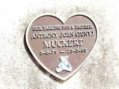 chapelhill.homeip.net Muckert