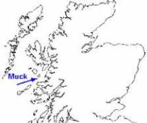 Mucks