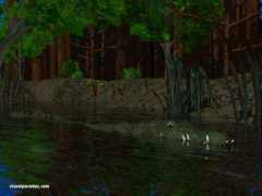 Mudhole