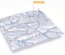 Muenga