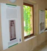 siece.es Muestras