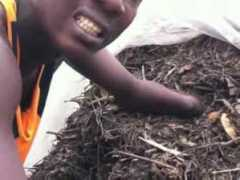 Mugoya