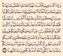 islaam.nl Muheen
