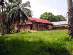 chcsa.org Mukila