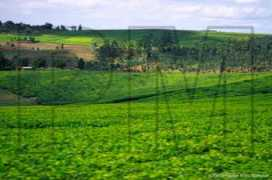 philippe.marsault.free.fr Mulange