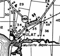Mulat