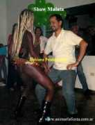 bahianaproducciones.com.ar Mulato