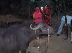 trf.seeyourimpact.org Mulchand