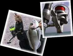 2anglers.it Mulinelli