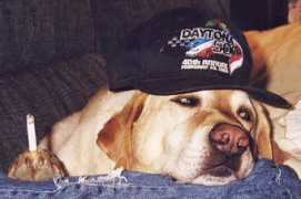 mulkernracing.com Mulkern