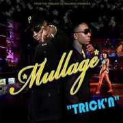 Mullage
