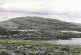 Mullagh