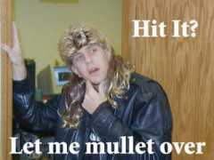 Mullet