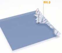Mulq