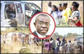 herald.co.zw Munandi