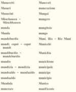 dizionario.rai.it Munaretti