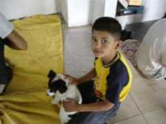 Muneca