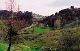 Munier