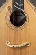 lehmannstrings.com Munjo