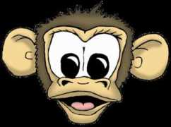 munkeemedia.com Munkee
