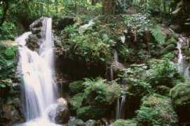 Munyaga