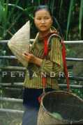 Muong