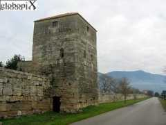 Mura