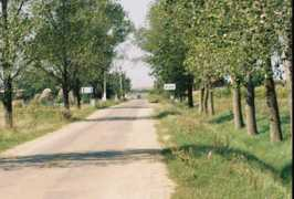 dvhh.org Murani