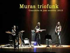 Muras