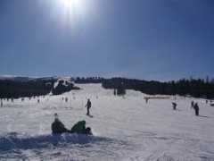 Murau