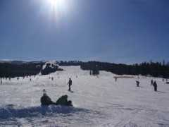 Murau