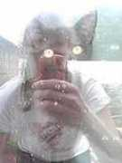 jpgmag.com Murcin