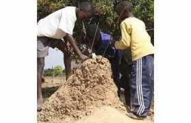 Murehwa