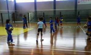 comisovolley.it Murgana