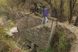 topwalks.net Murilla