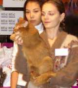 cats-club.ru Murlika