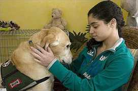 thedogfiles.com Murret