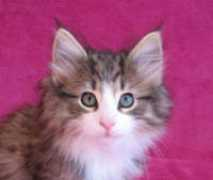 baeloclaudia.com Murumu