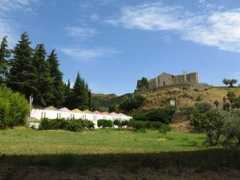 Musaba