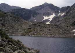 Musalu