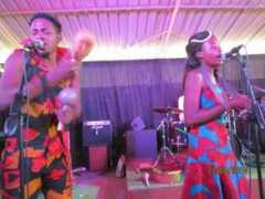 herald.co.zw Musarurwa