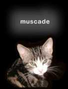 muscade.co.uk Muscade