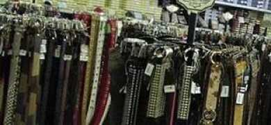 ladea.sfera.net Muscarelli