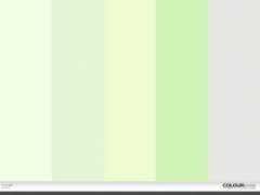 colourlovers.com Muscatel