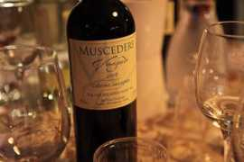 Muscedere
