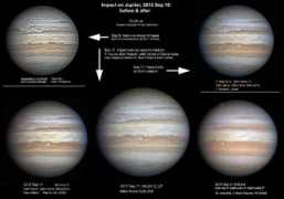 scienceblogs.de Muschall