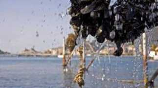 lanazione.it Muscoli