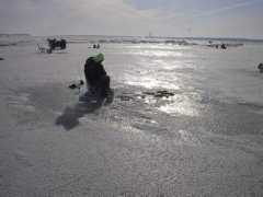 westernbasinsportfishingassociation.com Musconi