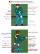 medicina-deportiva.net Musculacion
